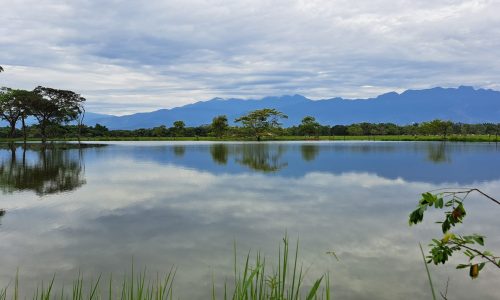 20251030_085459 20251030_085459