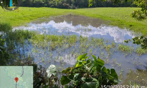 Marca de posición 119 (2) Marca de posición 119 (2)