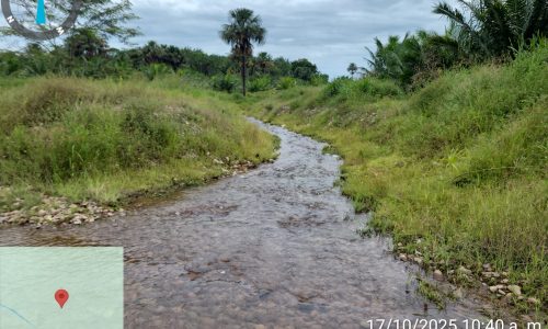 Marca de posición 161 (11)