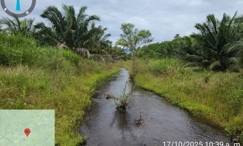 Marca de posición 161 (3)