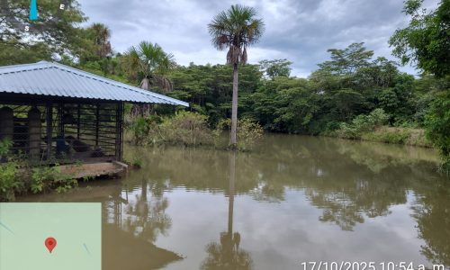 Marca de posición 164 (3) Marca de posición 164 (3)