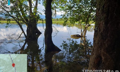 Marca de posición 173 Marca de posición 173