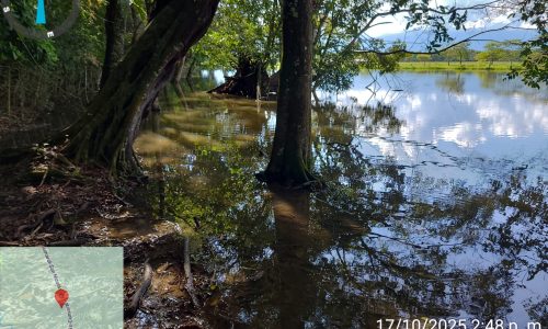 Marca de posición 173 (4) Marca de posición 173 (4)