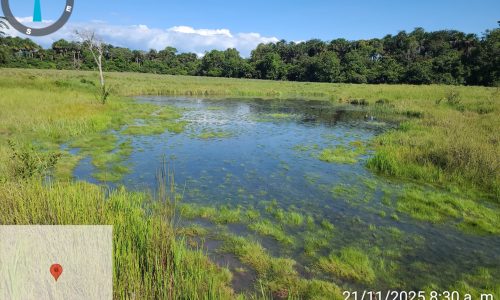 Marca de posición 305 Marca de posición 305
