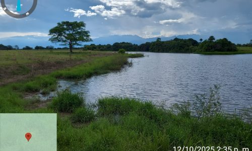 Marca de posición 65 (4) Marca de posición 65 (4)