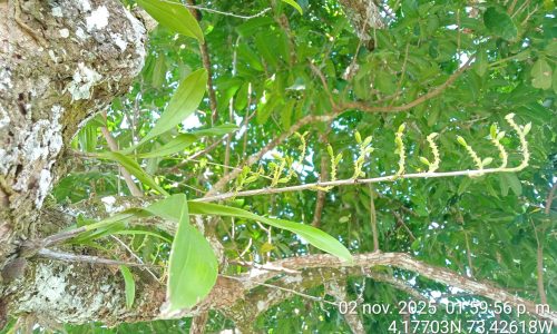 Estudio de impacto ambiental APE Llanos 41