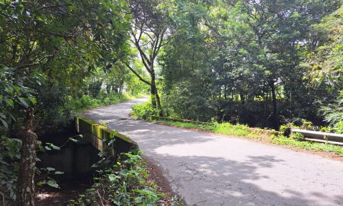 TimePhoto_20251030_101634 TimePhoto_20251030_101634