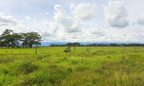 TimePhoto_20251031_142203 TimePhoto_20251031_142203