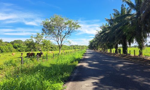 TimePhoto_20251101_142100 TimePhoto_20251101_142100