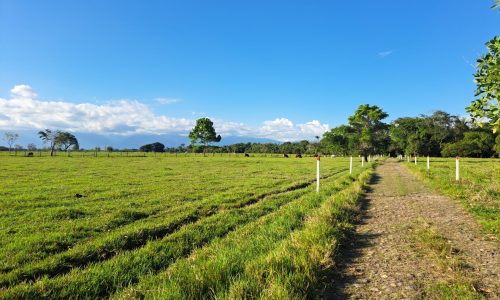 TimePhoto_20251101_160917 TimePhoto_20251101_160917