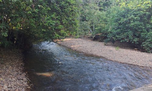 TimePhoto_20251101_161200 TimePhoto_20251101_161200